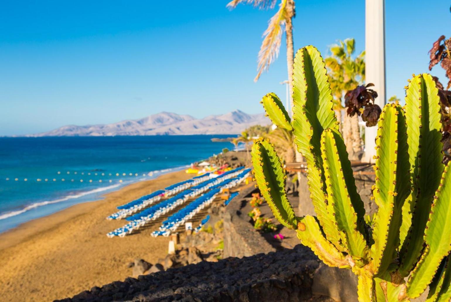 Villa Tropical بلايا بلانكا المظهر الخارجي الصورة